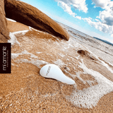 Професионална четка за коса MiAmante - Mi Amante Professional